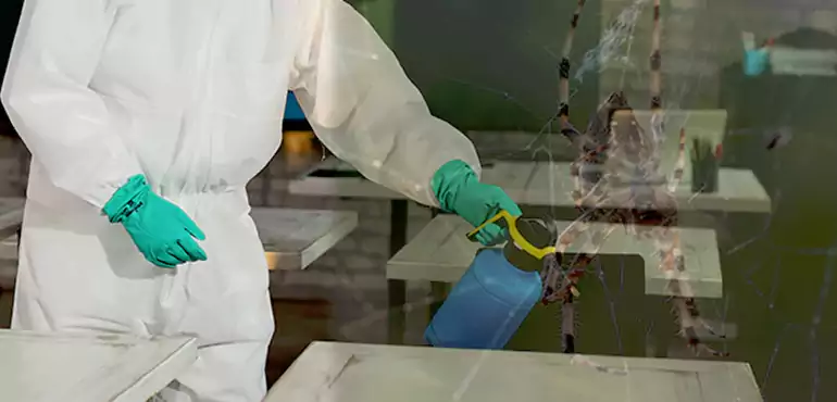 Why Buyers Still Want Homes With Pest Infestations in Vancouver, WA?