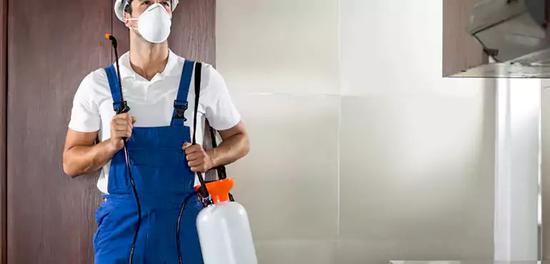 Why Vancouver Homeowners Choose Us When Pests Make Selling Difficult